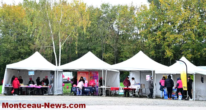 boucle-rose-montceau-2610261