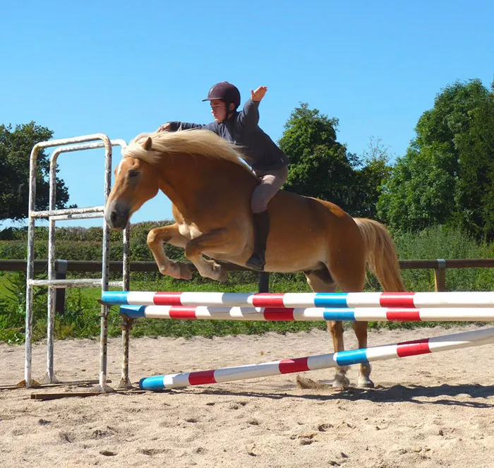 centre-equestre-091026
