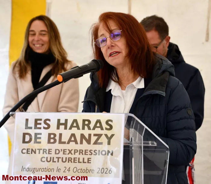 chat-pelee-blanzy-25102615