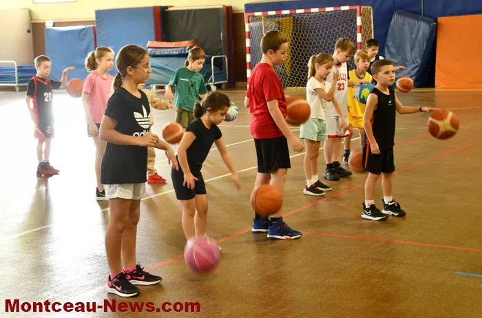 csl-gym-3010261
