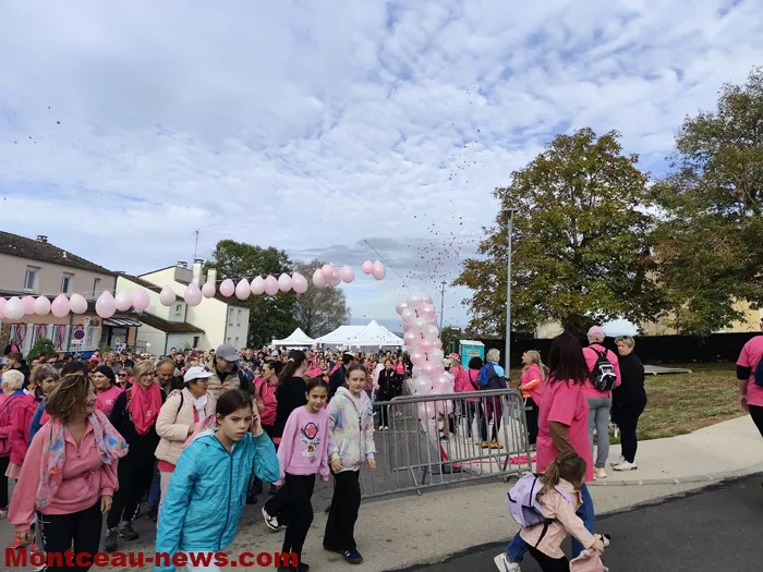 marche-sanvivgnes-rose-11102638