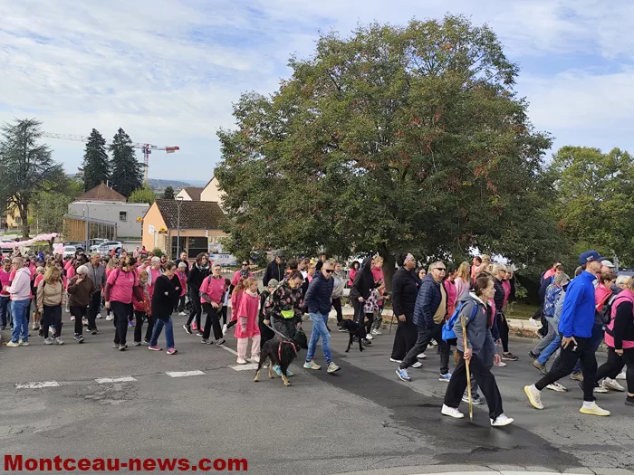 marche-sanvivgnes-rose-11102643