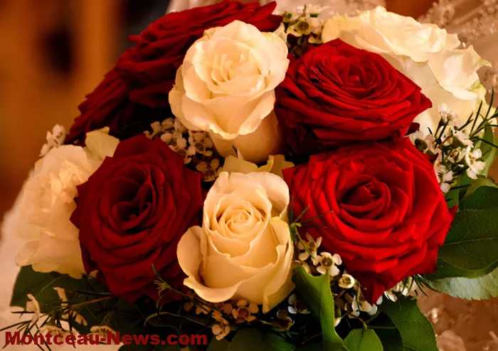 mariage-montceau-0410265