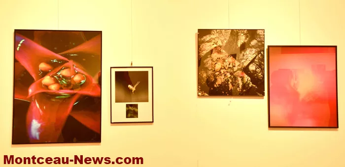 vernissage-herve-negre-26102611
