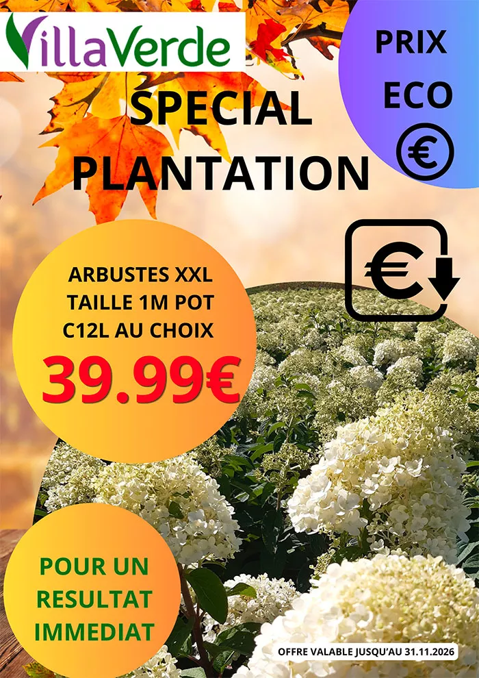 villaverde-0810262