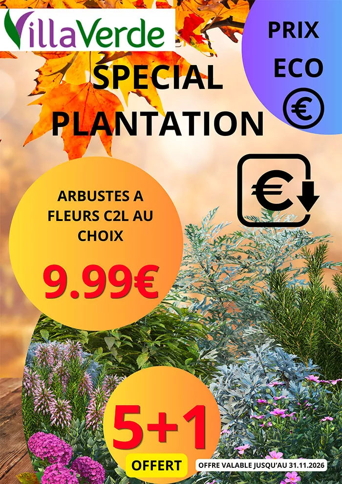 villaverde-0810263