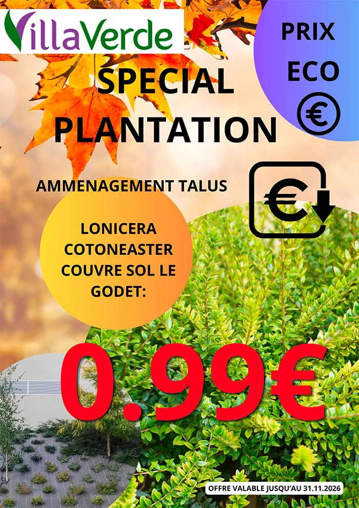 villaverde-0810264
