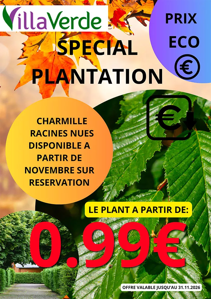 villaverde-0810265
