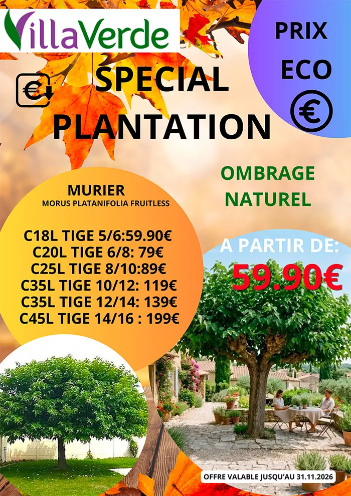 villaverde-0810267