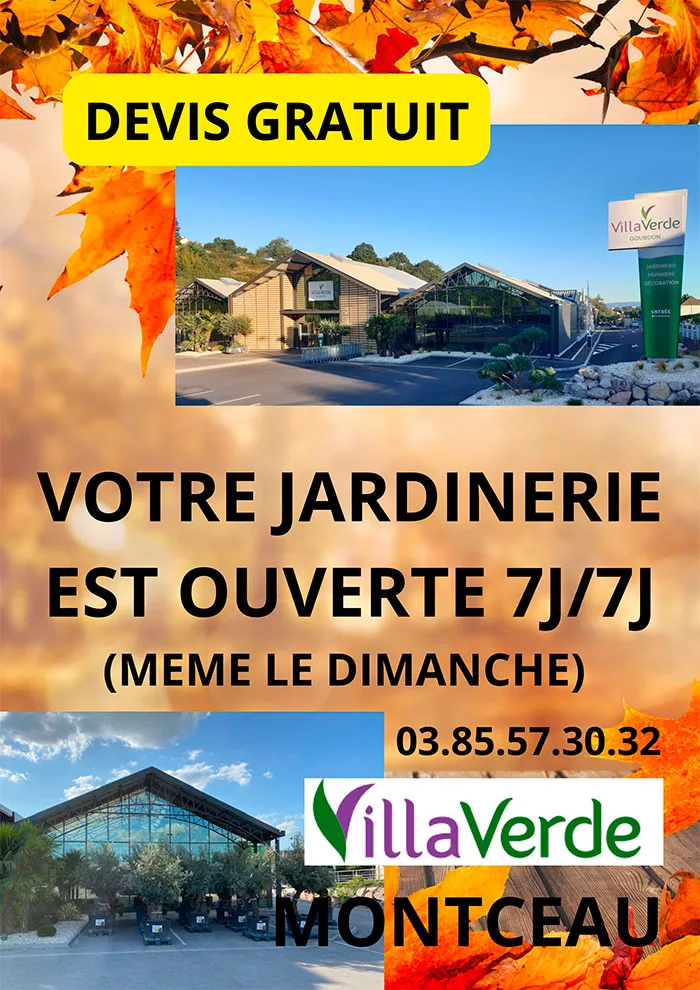villaverde-0810268