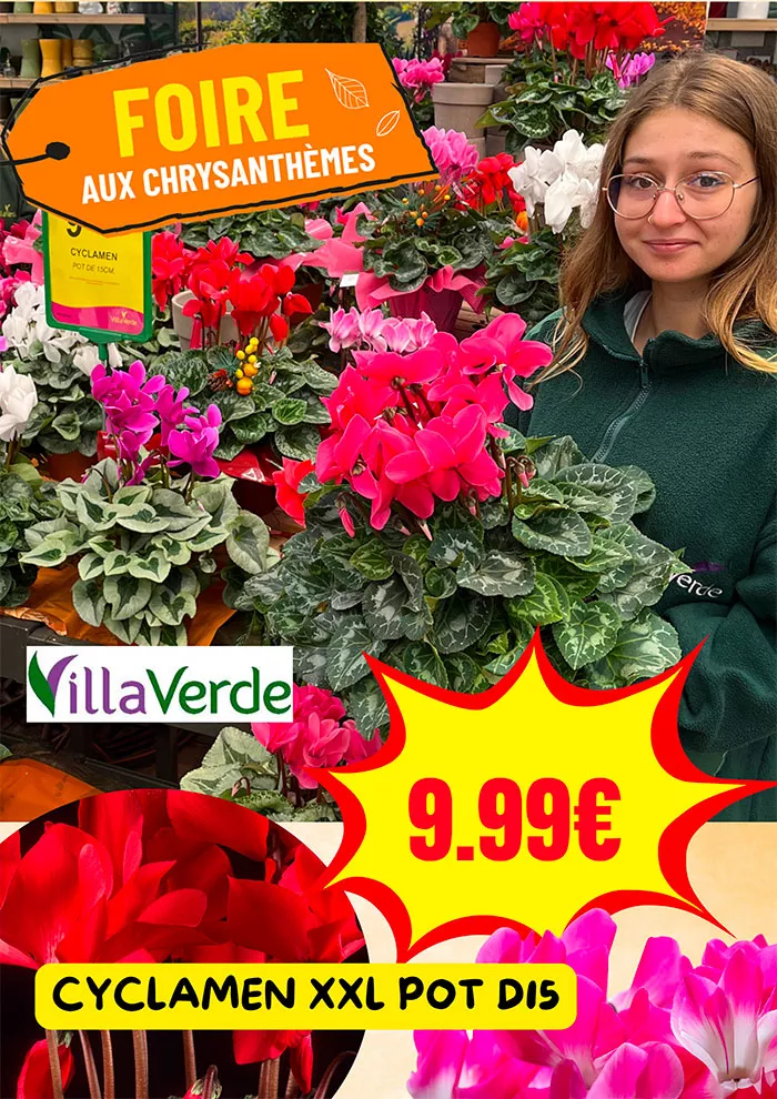 villaverde-2510267